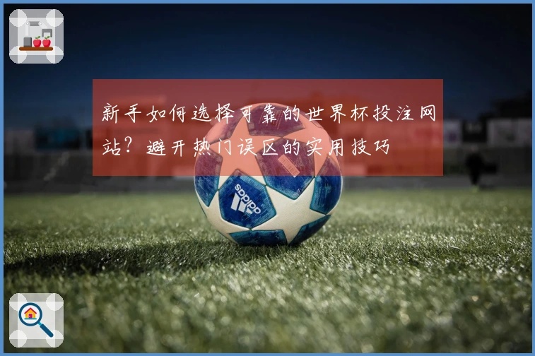 新手如何选择可靠的世界杯投注网站？避开热门误区的实用技巧