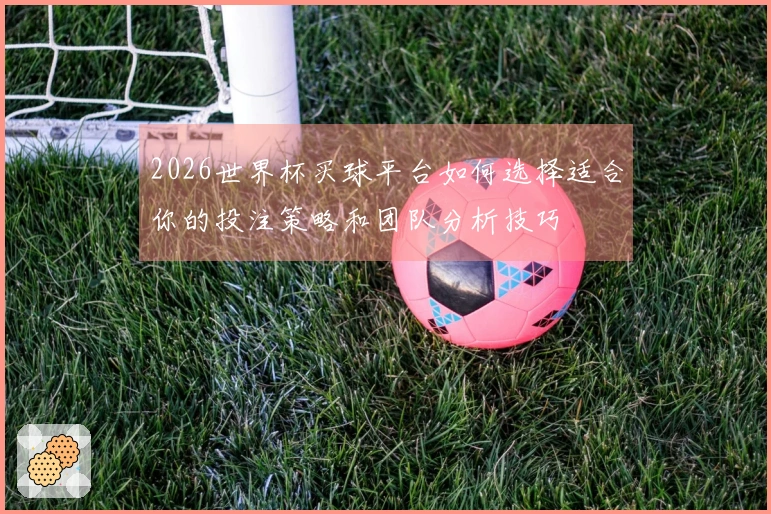 2026世界杯买球平台如何选择适合你的投注策略和团队分析技巧