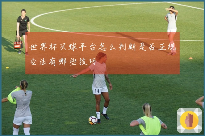 世界杯买球平台怎么判断是否正规合法有哪些技巧