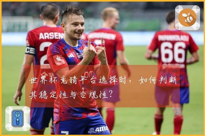 世界杯竞猜平台选择时,如何判断其稳定性与合规性?